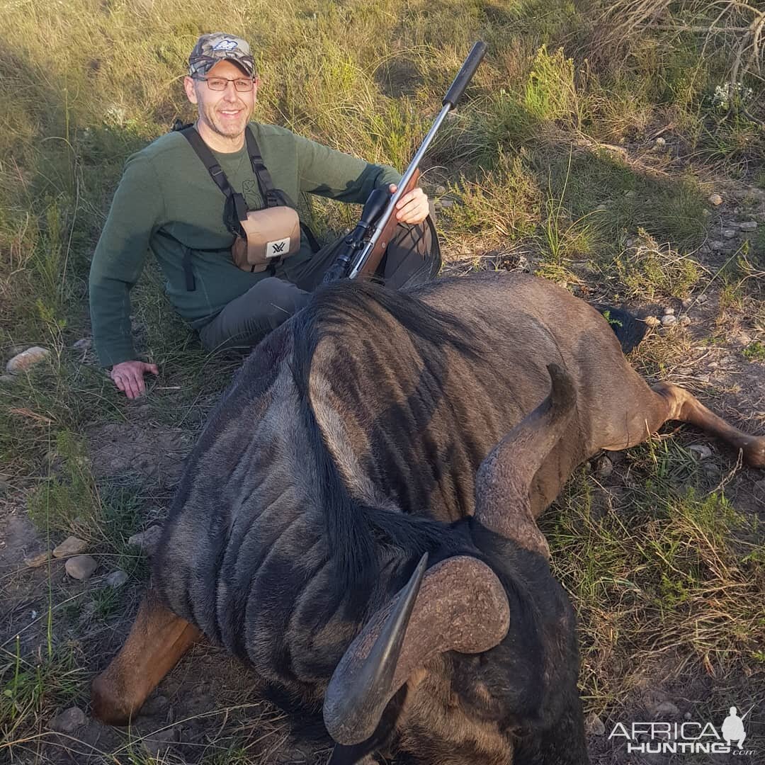 Blue Wildebeest Hunt South Africa