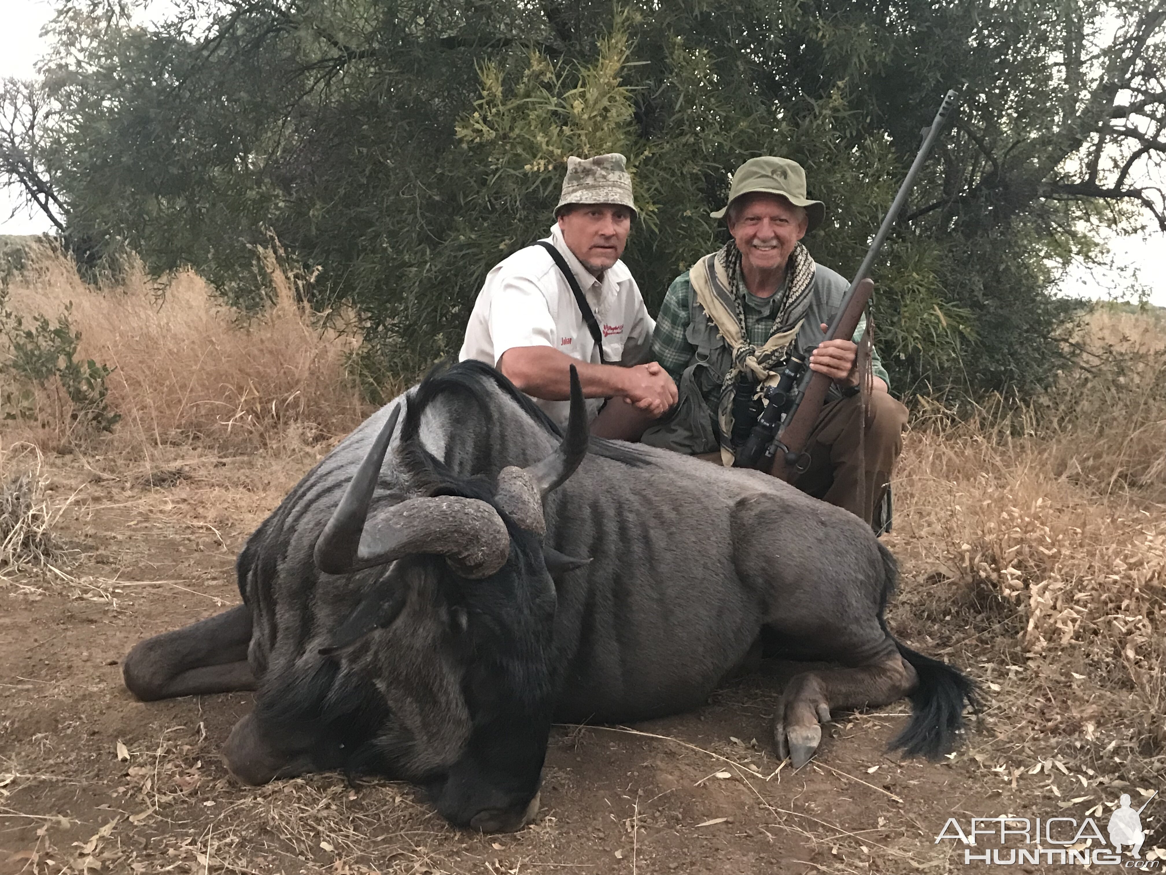 Blue Wildebeest Hunt South Africa