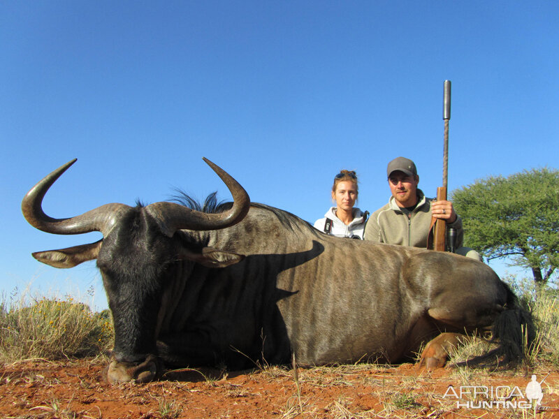 Blue Wildebeest hunt with Wintershoek Johnny Vivier Safaris