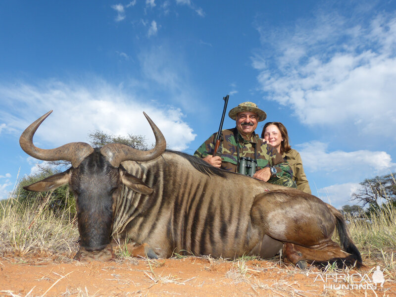 Blue Wildebeest hunt with Wintershoek Johnny Vivier Safaris