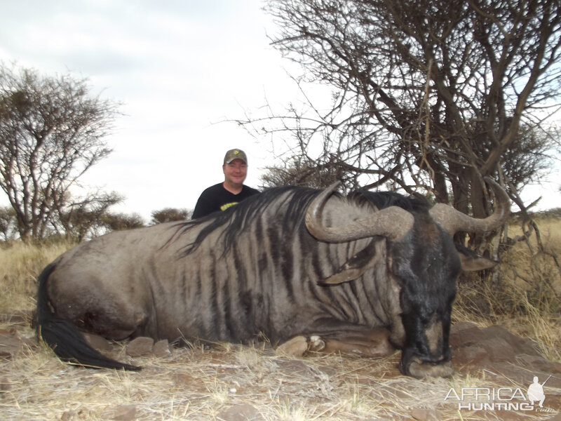 Blue Wildebeest hunt with Wintershoek Johnny Vivier Safaris