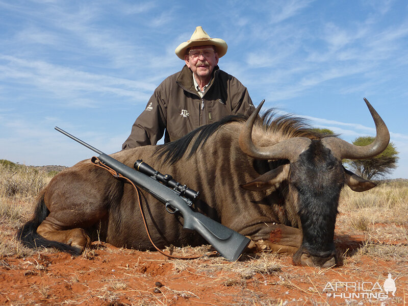 Blue Wildebeest hunt with Wintershoek Johnny Vivier Safaris