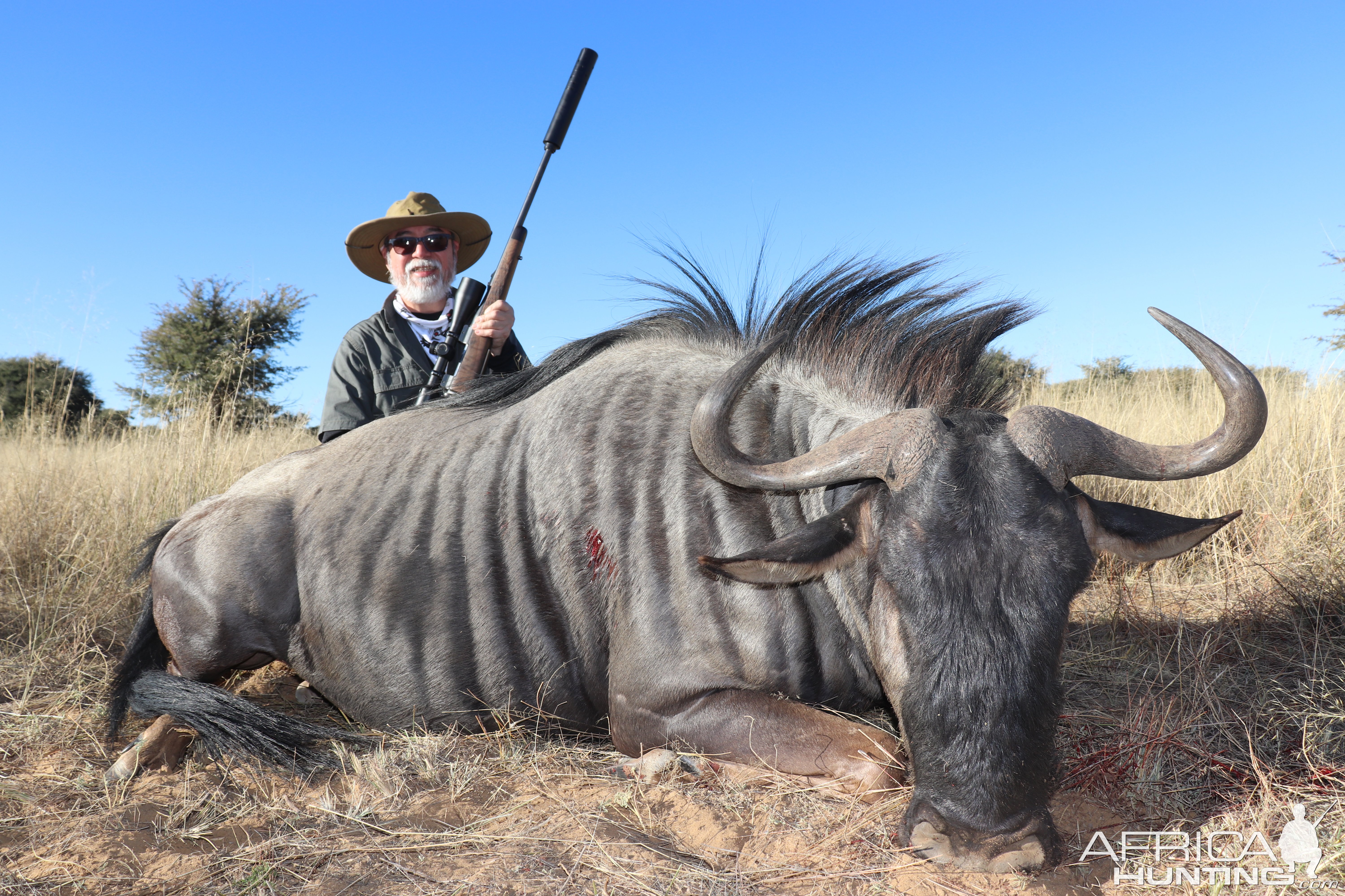 Blue Wildebeest Hunt