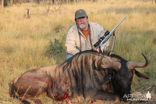 Blue Wildebeest Hunt