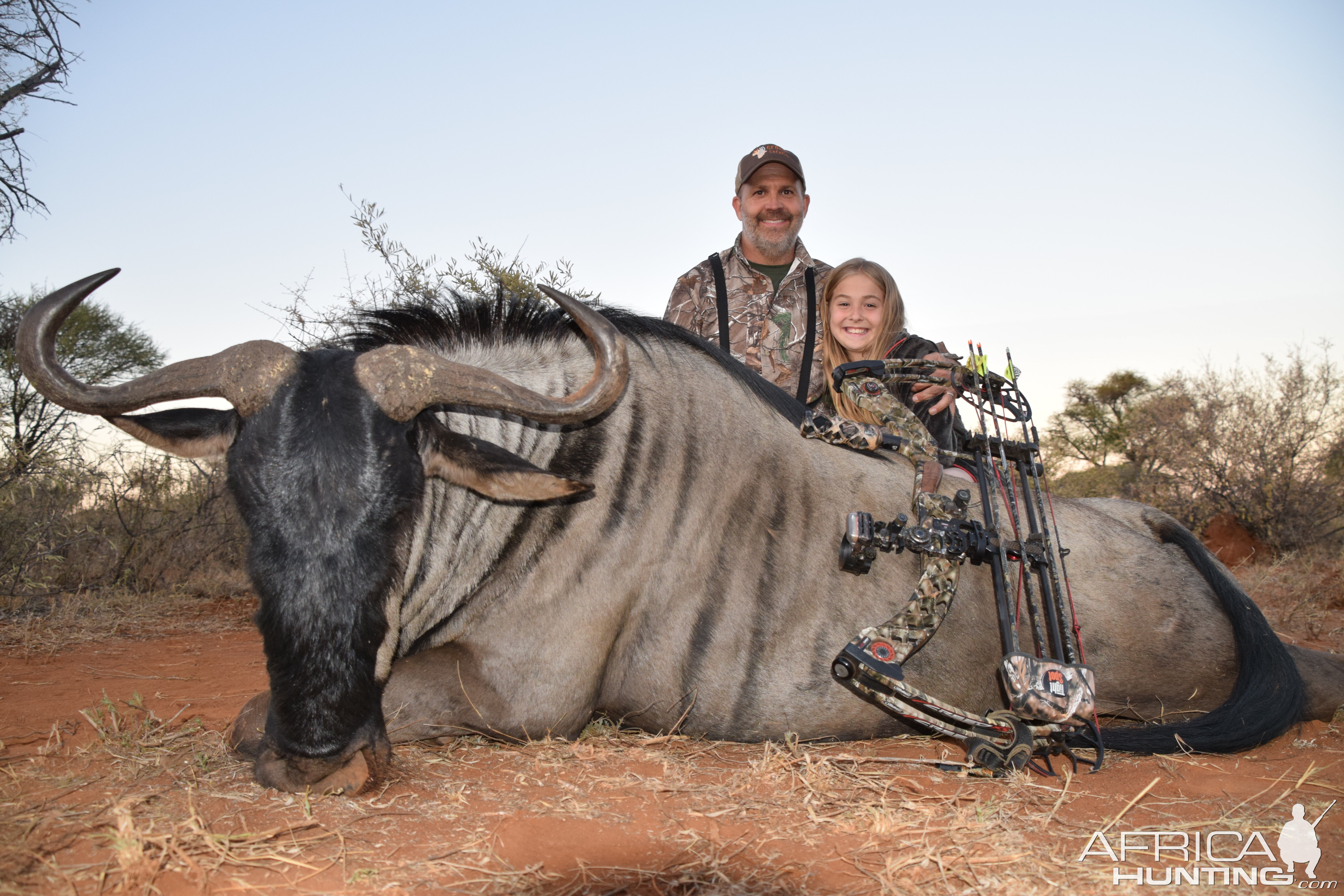 Blue Wildebeest hunted with Limcroma Safaris