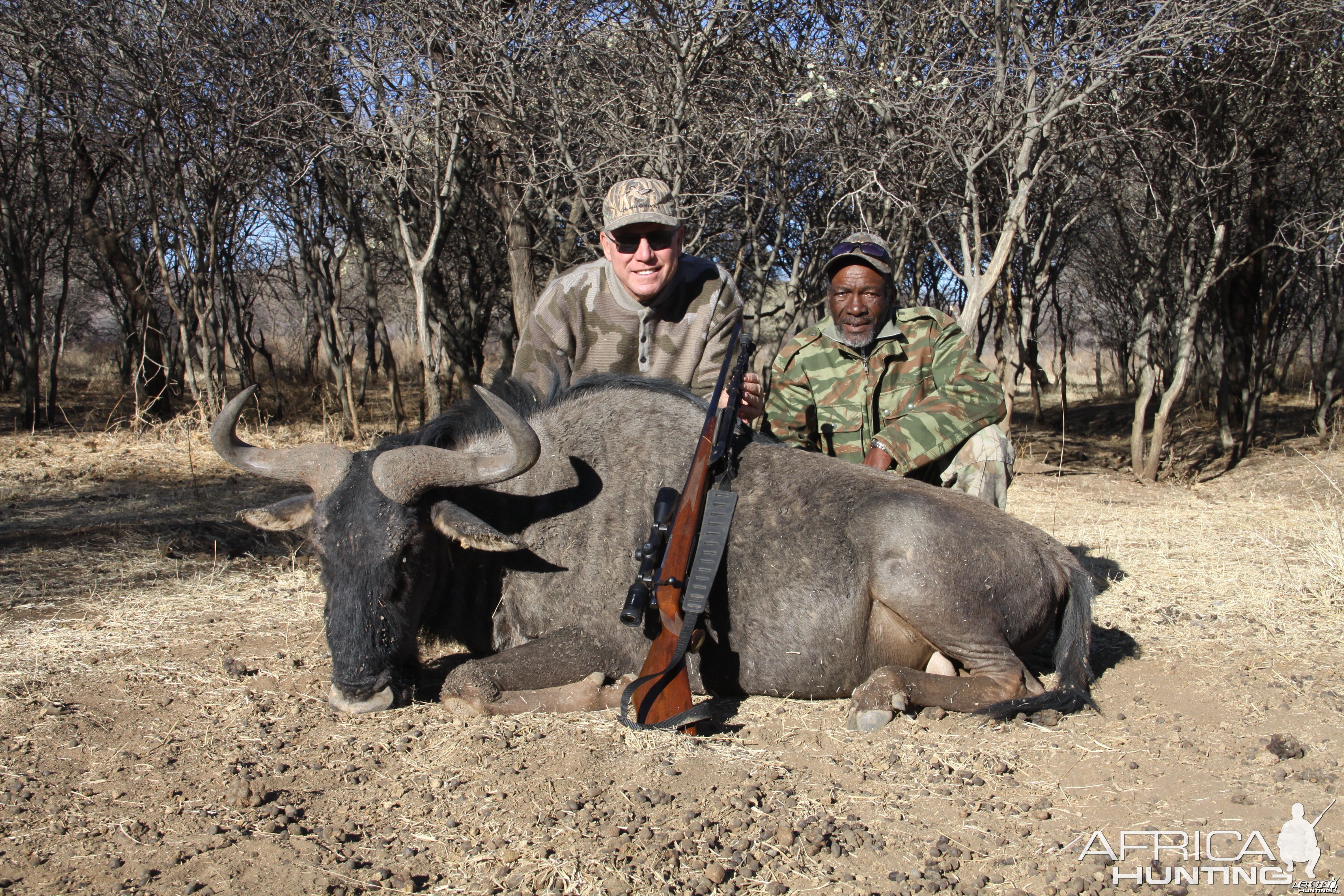 Blue Wildebeest hunted with Ozondjahe Hunting Safaris in Namibia