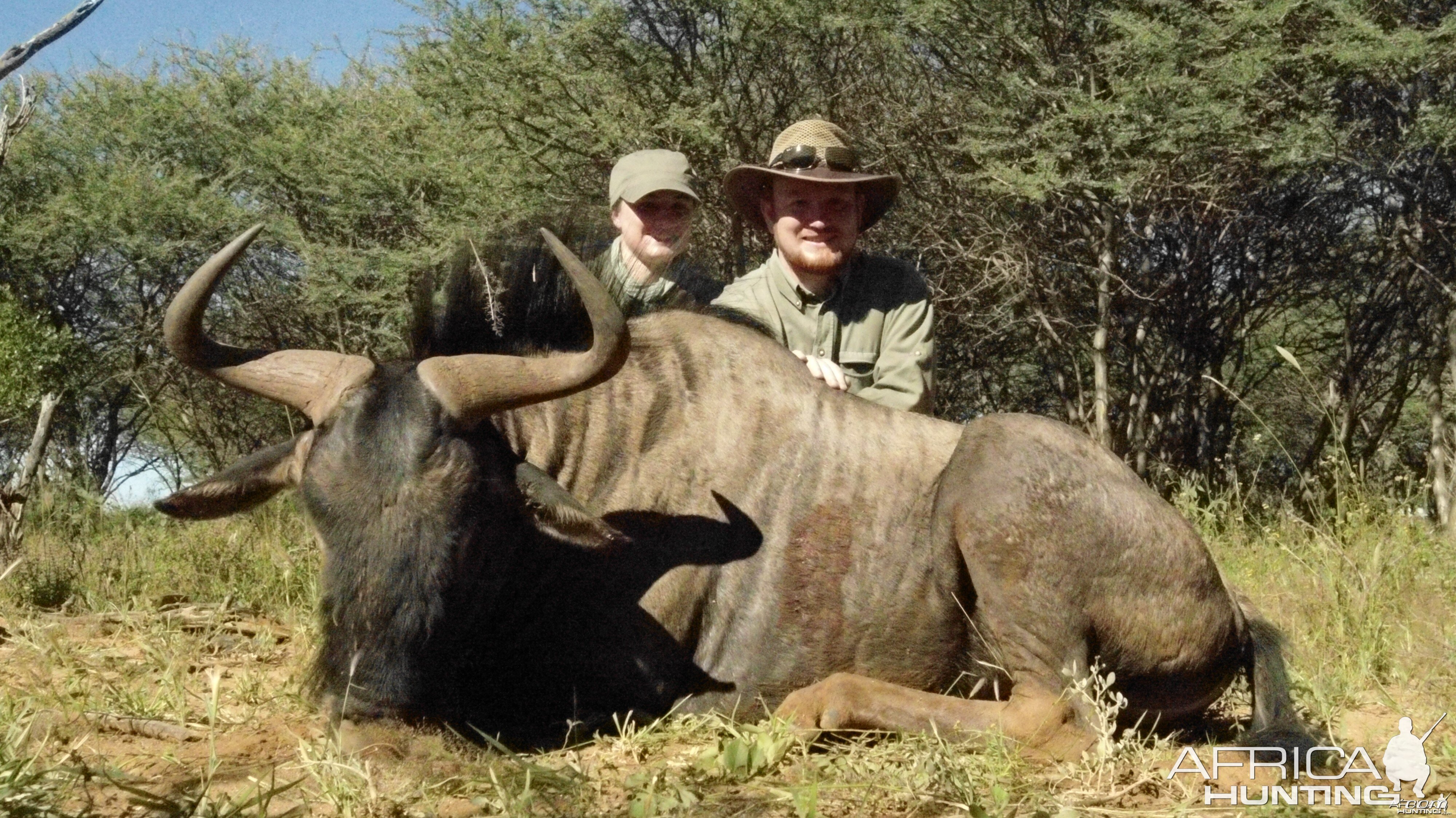 Blue Wildebeest hunted with Ozondjahe Hunting Safaris in Namibia