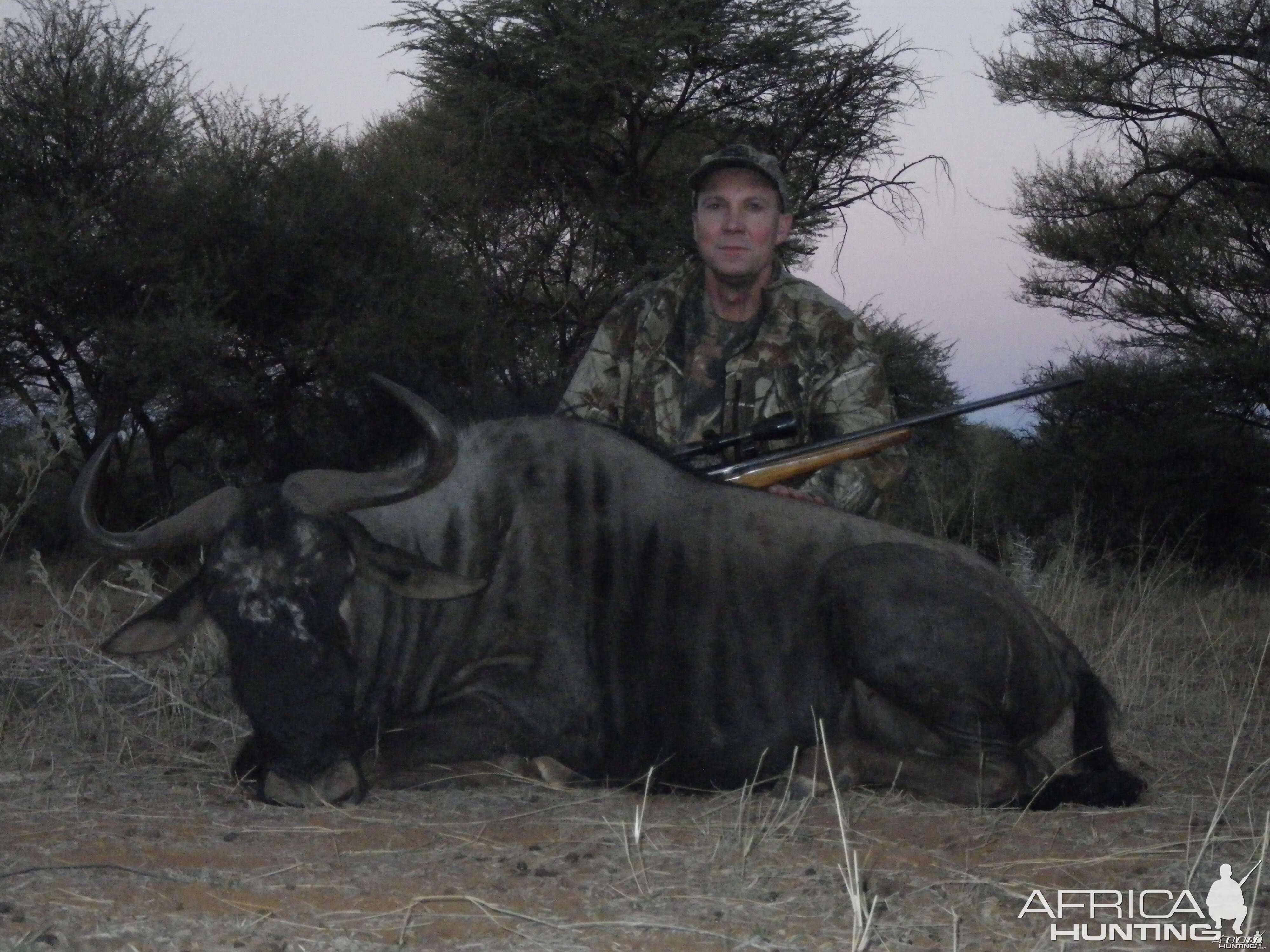 Blue Wildebeest hunted with Ozondjahe Hunting Safaris in Namibia