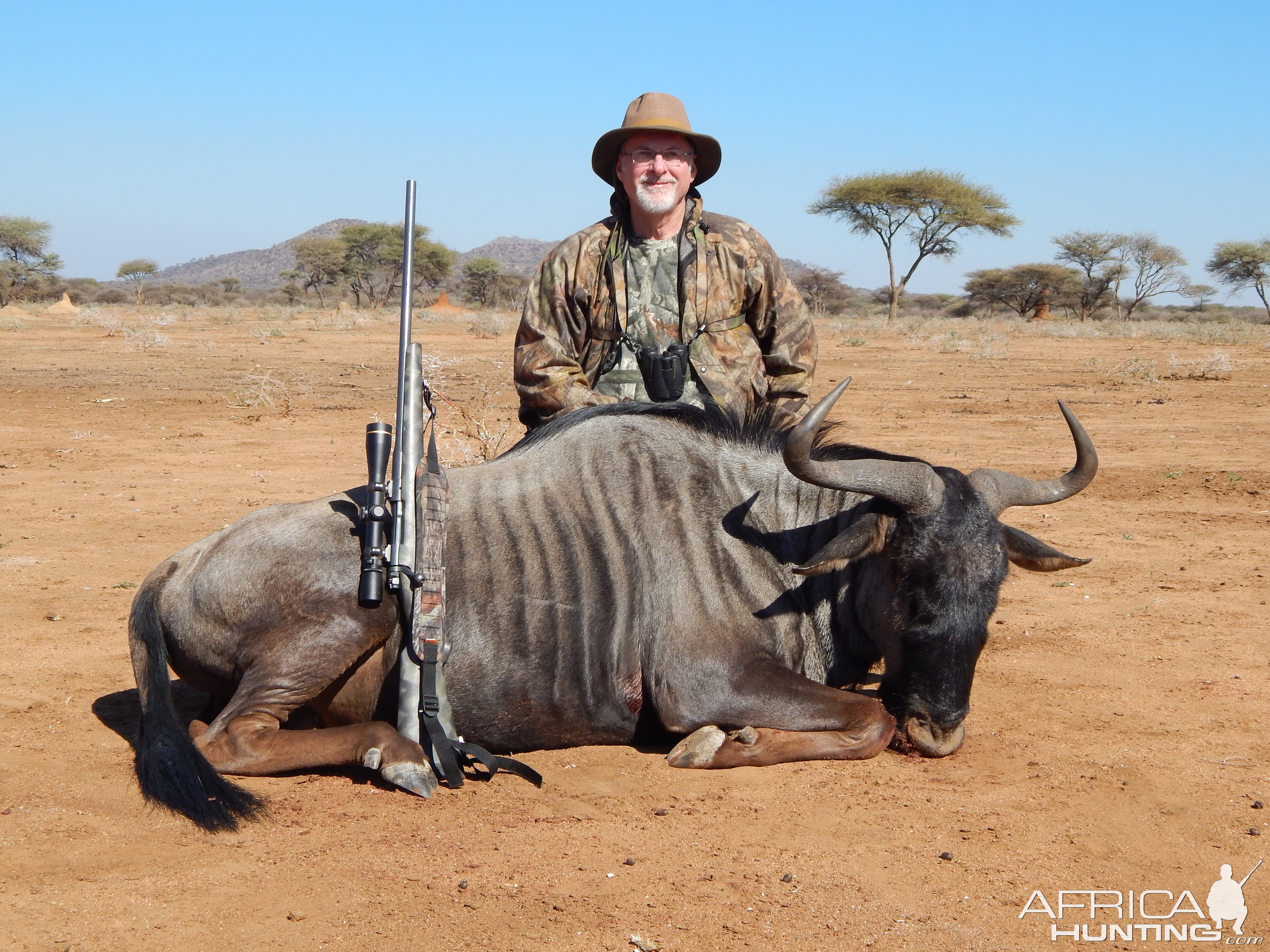 Blue Wildebeest hunted with Ozondjahe Hunting Safaris in Namibia