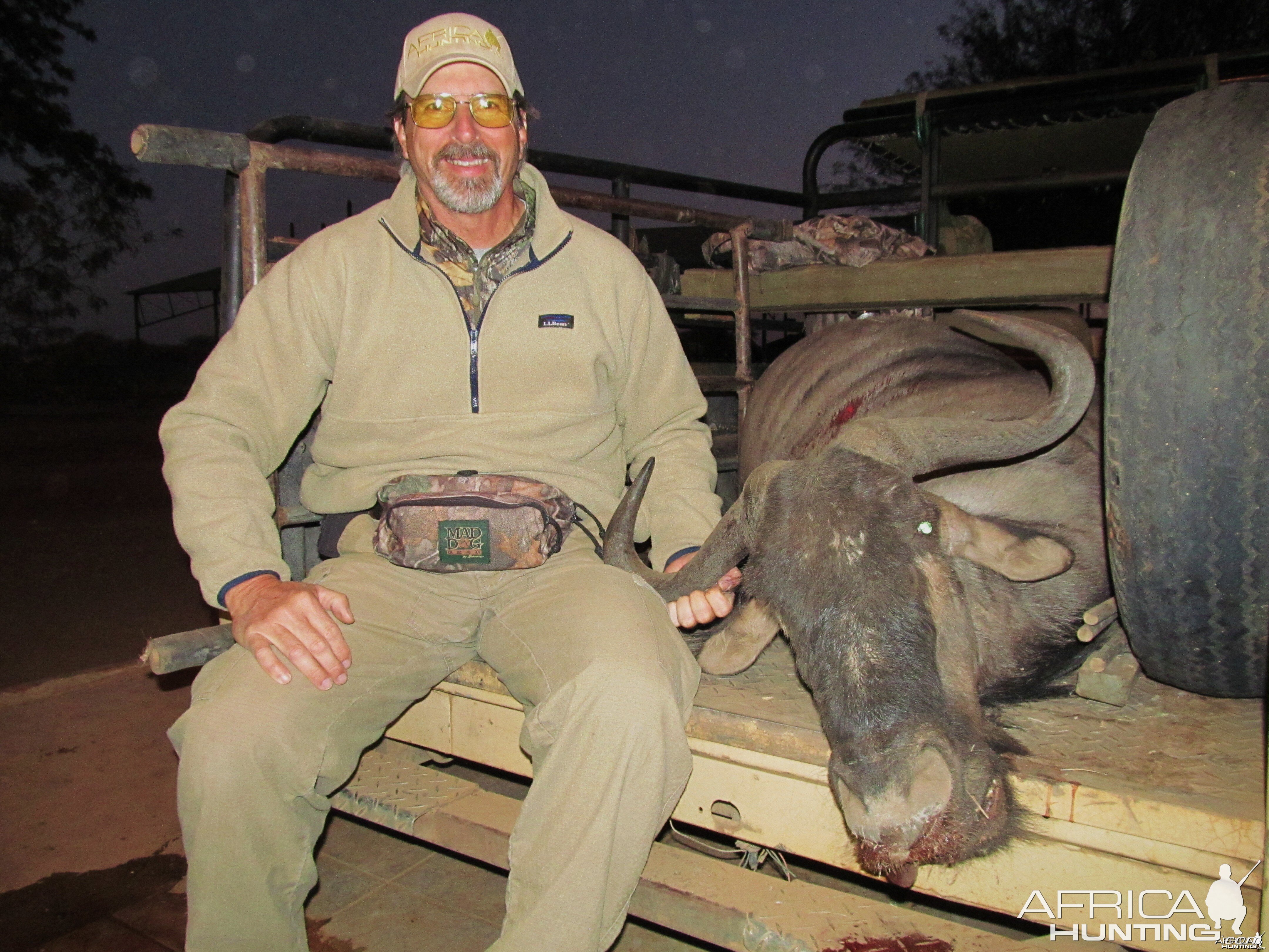 Blue Wildebeest hunted with Ozondjahe Hunting Safaris in Namibia