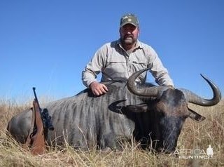 Blue Wildebeest Hunting Eastern Cape South Africa