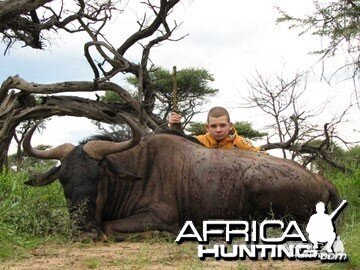 Blue Wildebeest Hunting in Namibia