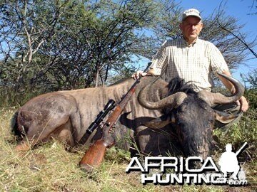 Blue Wildebeest Hunting in Namibia