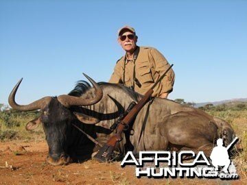 Blue Wildebeest Hunting in Namibia