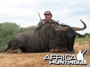 Blue Wildebeest Hunting in Namibia