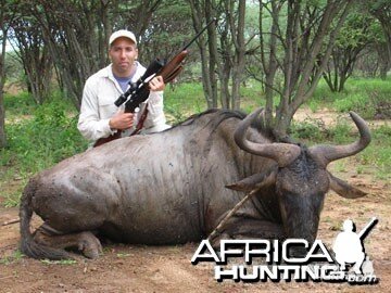 Blue Wildebeest Hunting in Namibia