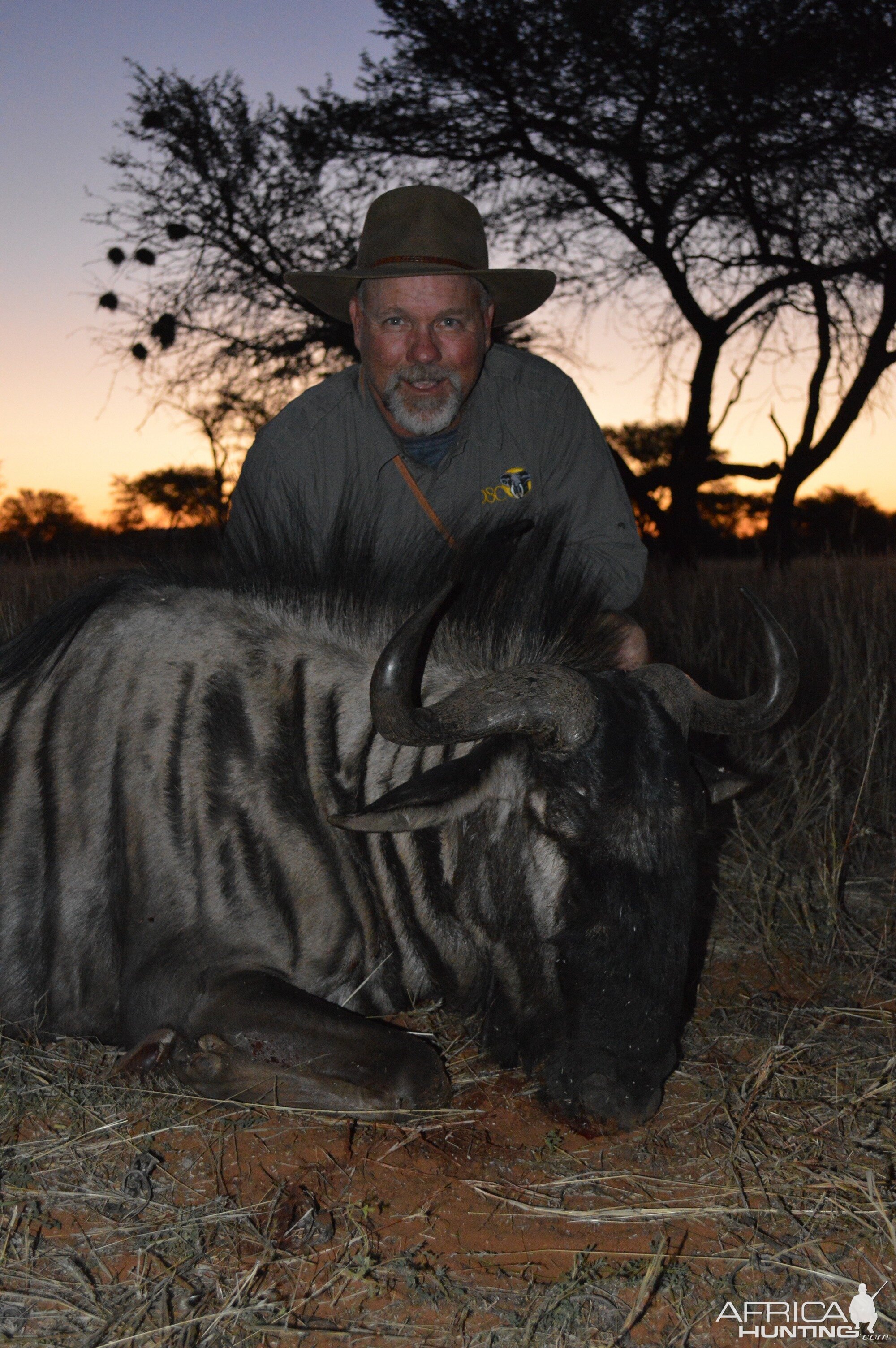 Blue Wildebeest Hunting in Namibia