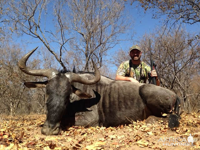 Blue Wildebeest Hunting in South Africa