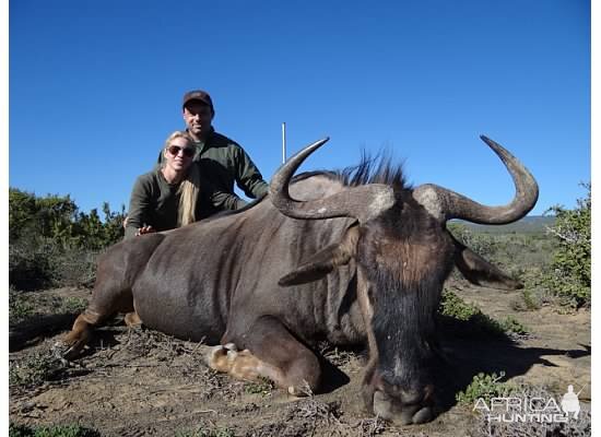 Blue Wildebeest Hunting in South Africa