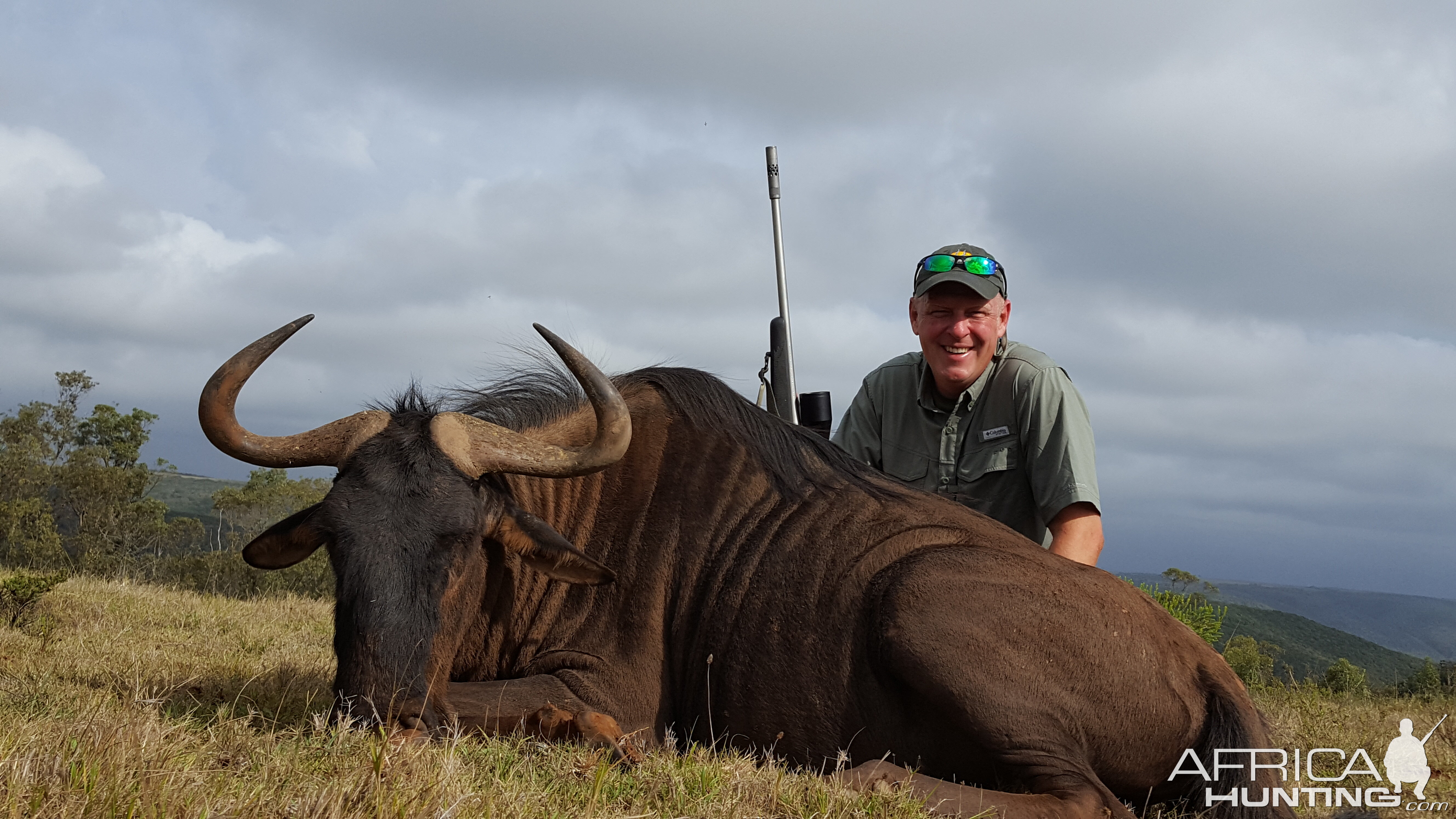 Blue Wildebeest Hunting in South Africa