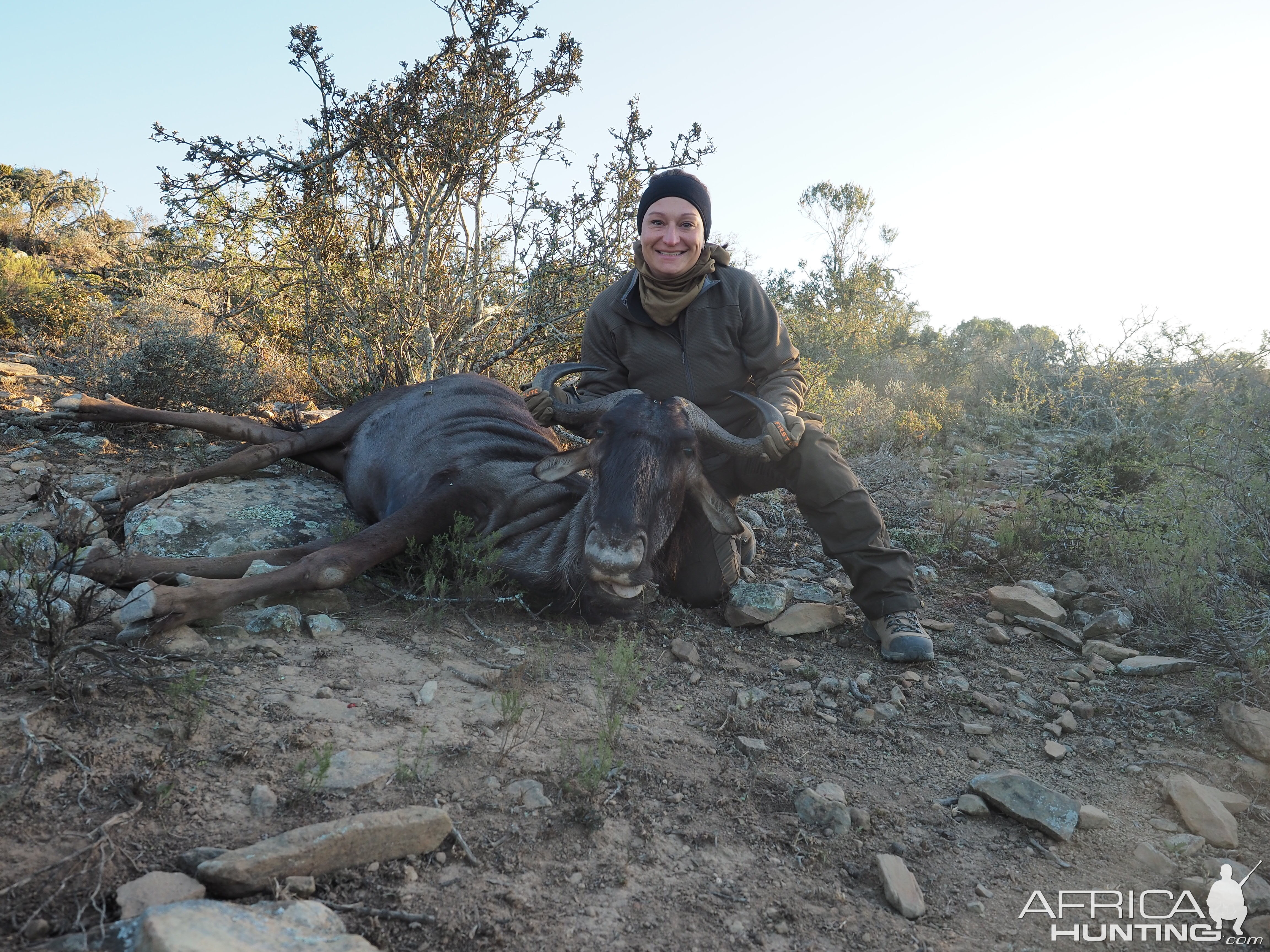 Blue Wildebeest Hunting in South Africa