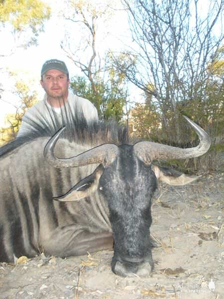 Blue Wildebeest Hunting in Zimbabwe