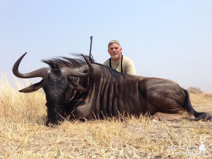 Blue Wildebeest Hunting in Zimbabwe