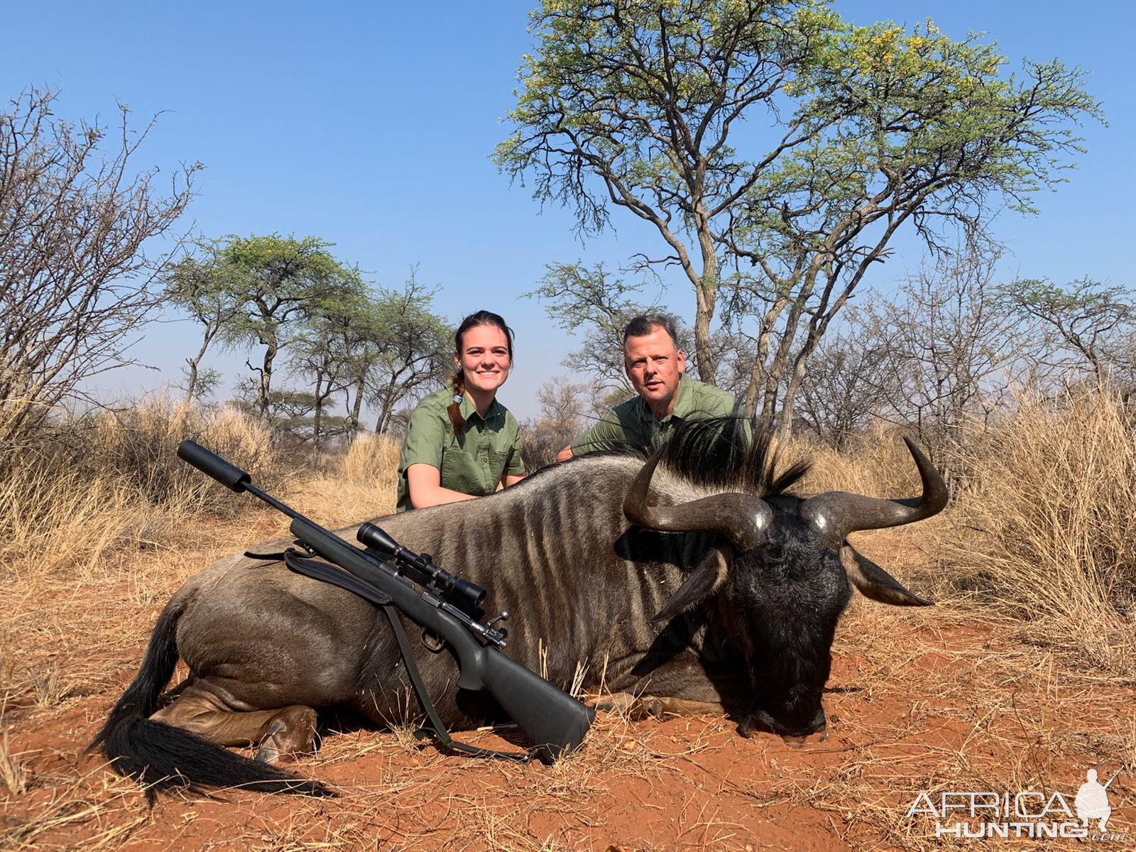 Blue Wildebeest Hunting Limpopo Povince South Africa