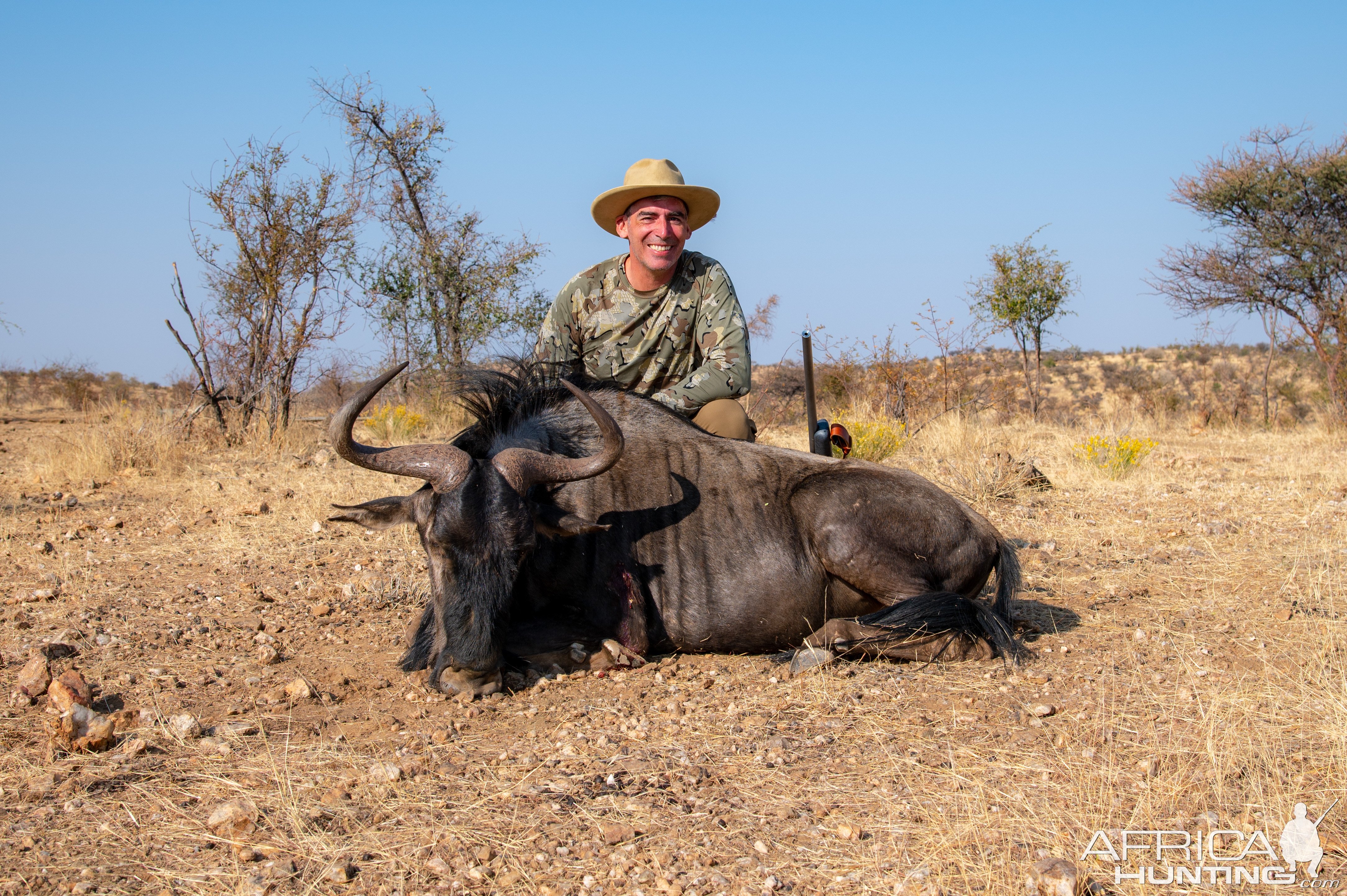 Blue Wildebeest Hunting Namibia