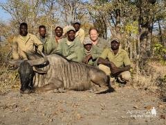 Blue Wildebeest Hunting Namibia