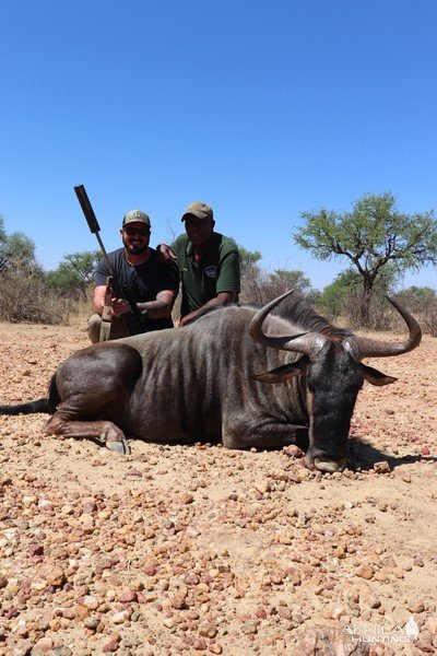 Blue Wildebeest Hunting Namibia