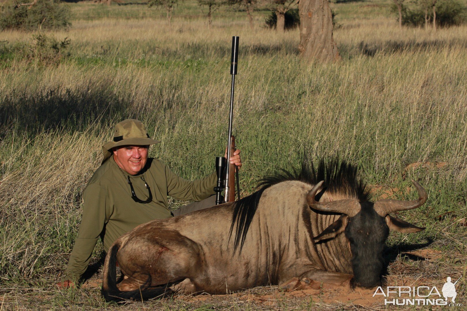 Blue Wildebeest Hunting Namibia