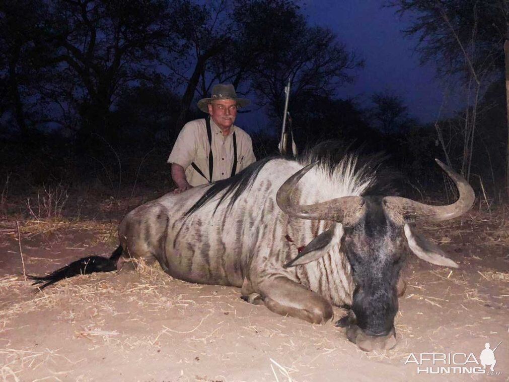 Blue Wildebeest Hunting Namibia