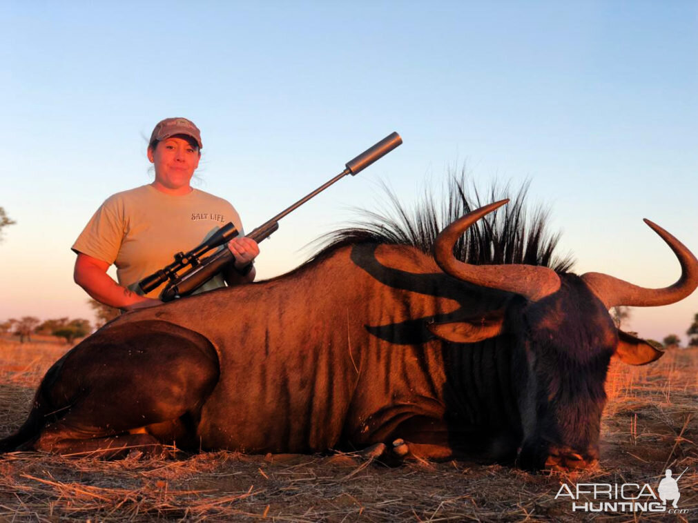 Blue Wildebeest Hunting Namibia