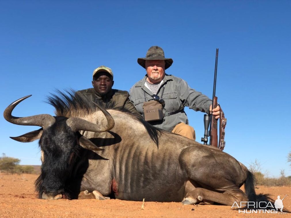 Blue Wildebeest Hunting Namibia