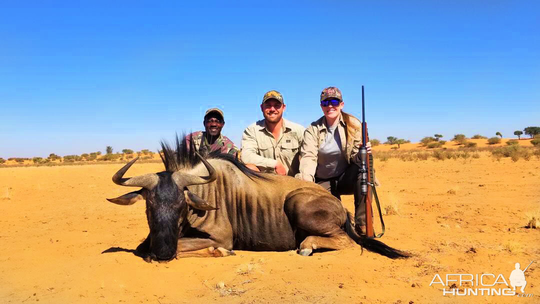 Blue Wildebeest Hunting Namibia