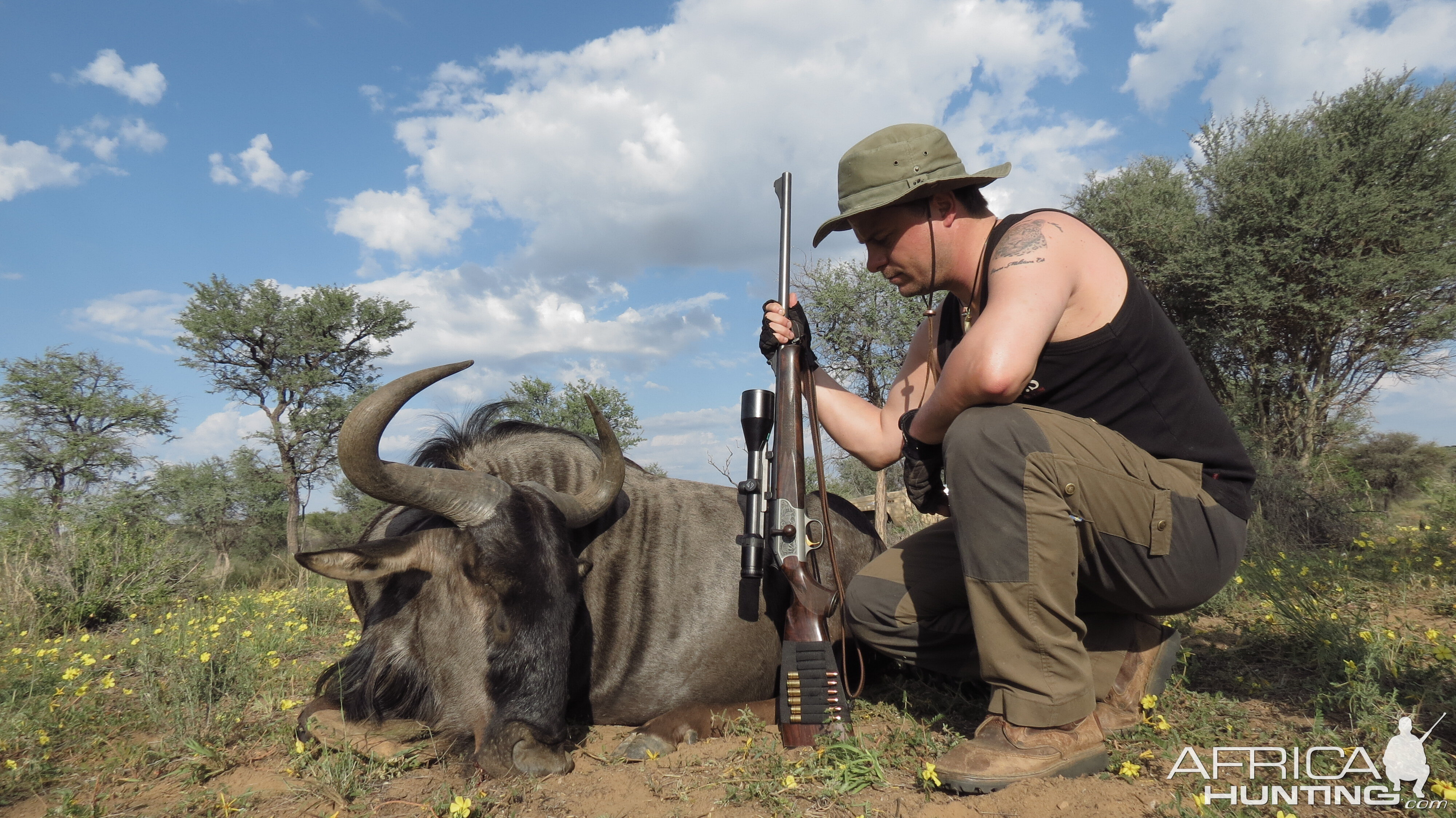 Blue Wildebeest Hunting Namibia