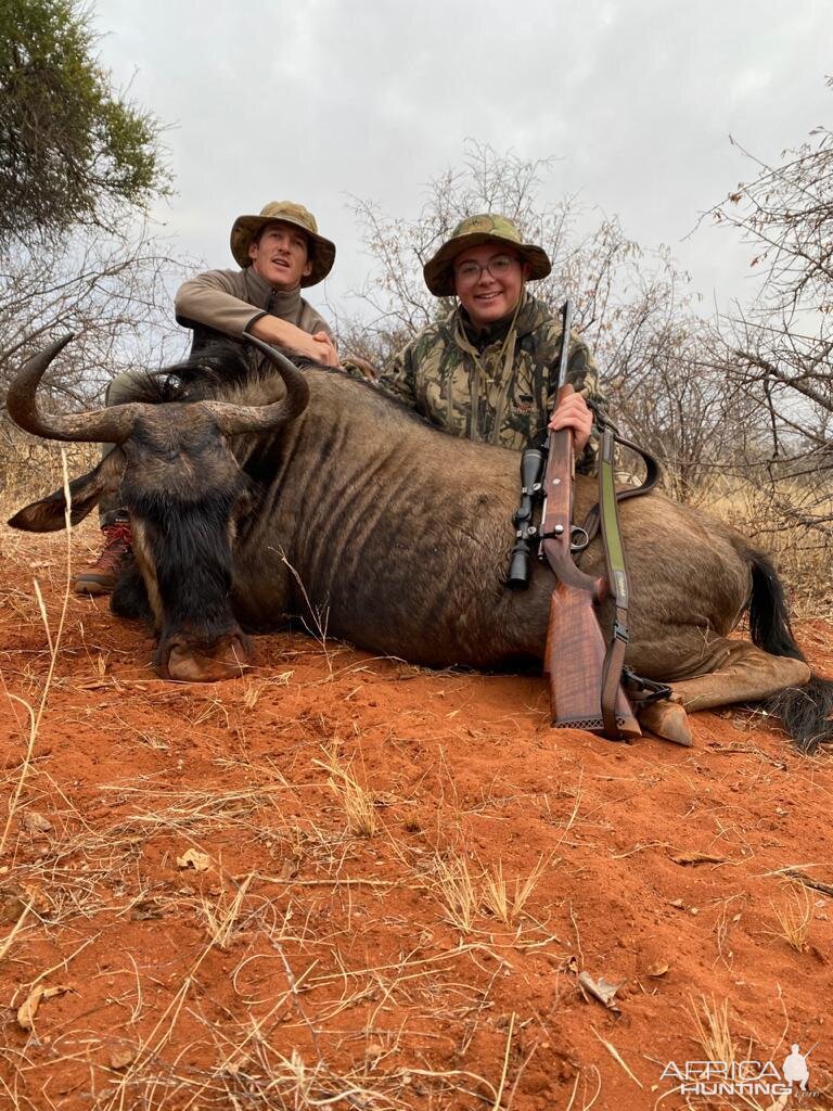 Blue Wildebeest Hunting South Africa