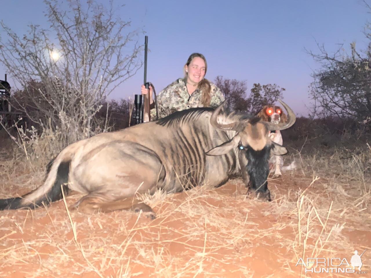 Blue Wildebeest Hunting South Africa