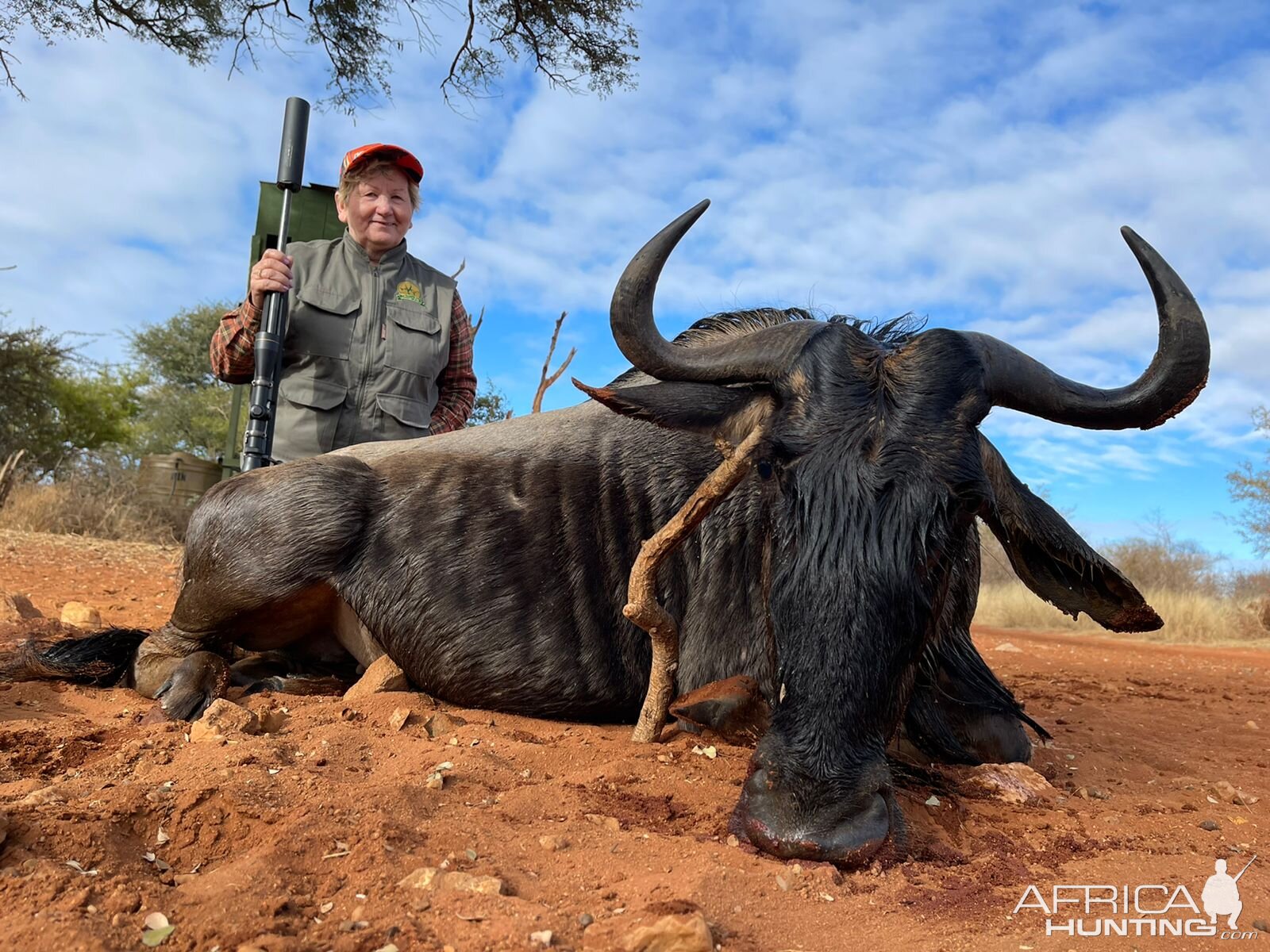 Blue Wildebeest Hunting South Africa