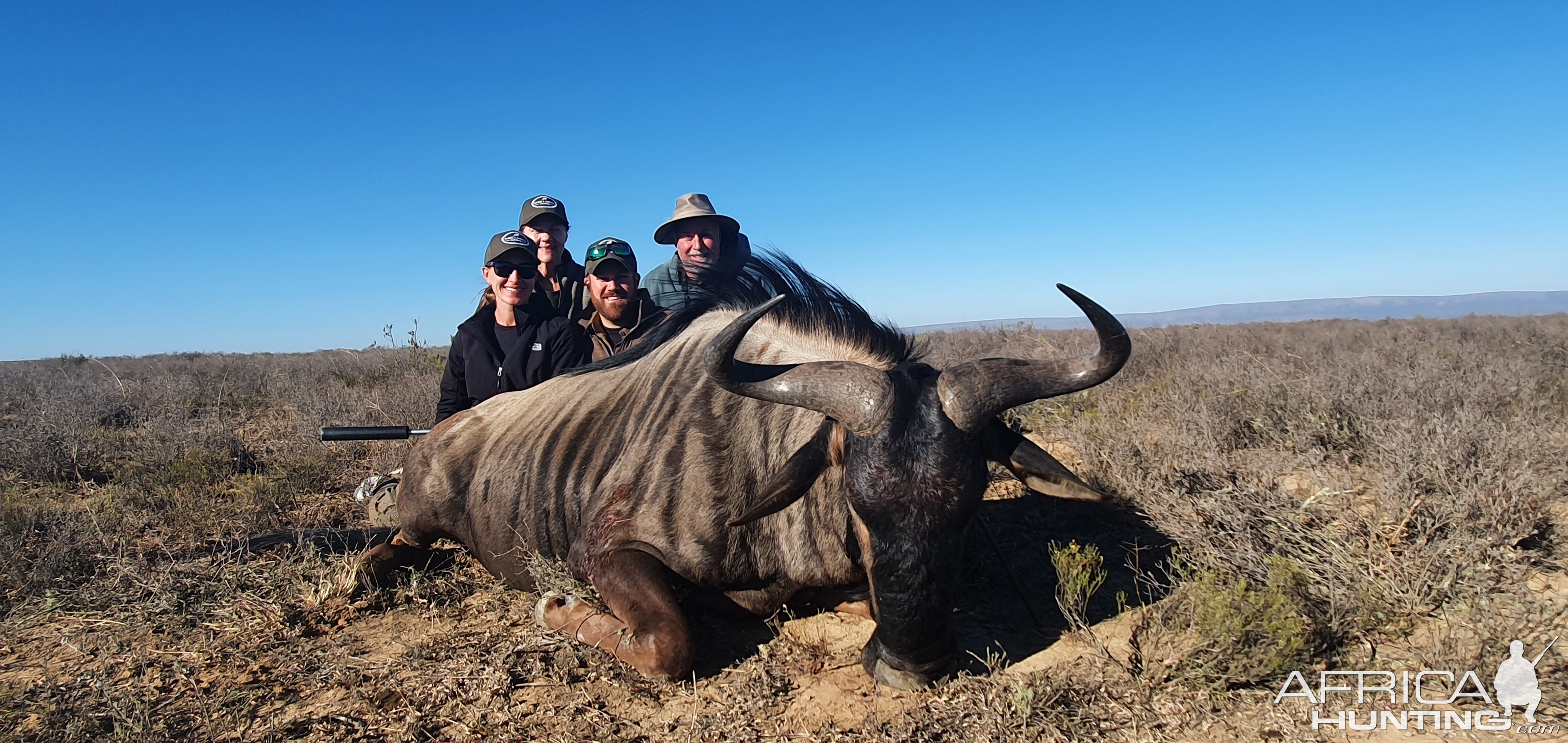 Blue Wildebeest Hunting South Africa