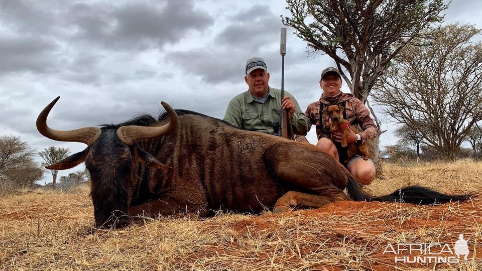 Blue Wildebeest Hunting South Africa