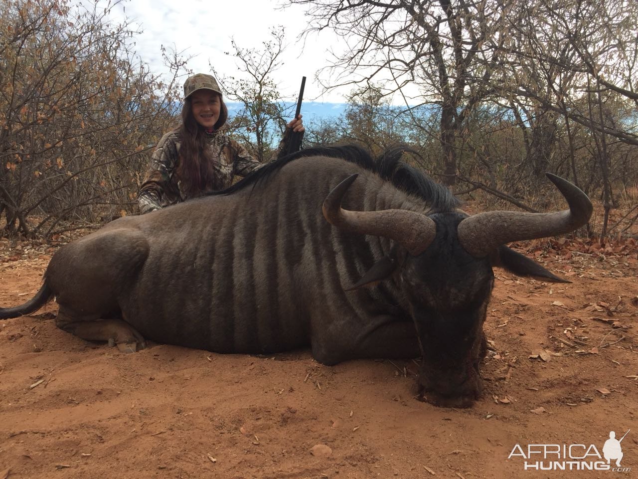 Blue Wildebeest Hunting South Africa