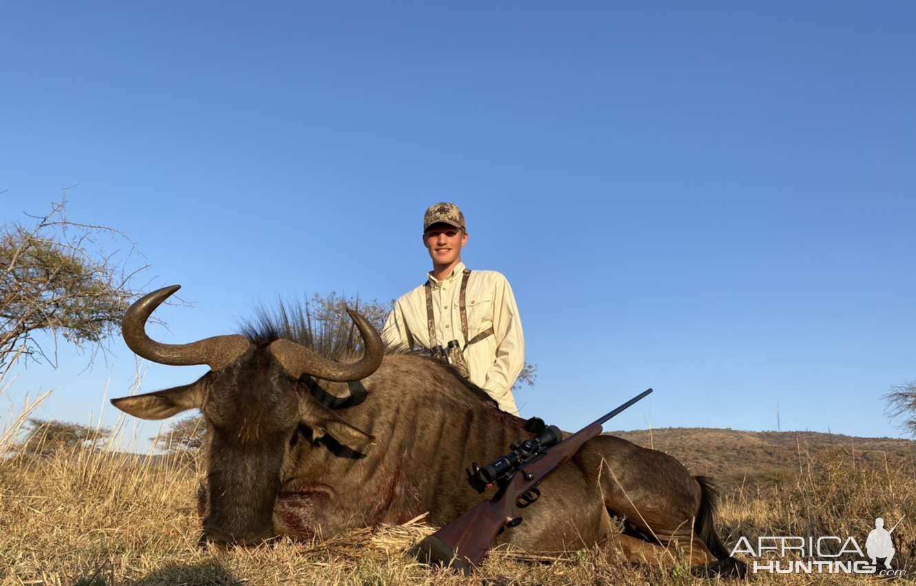 Blue Wildebeest Hunting South Africa