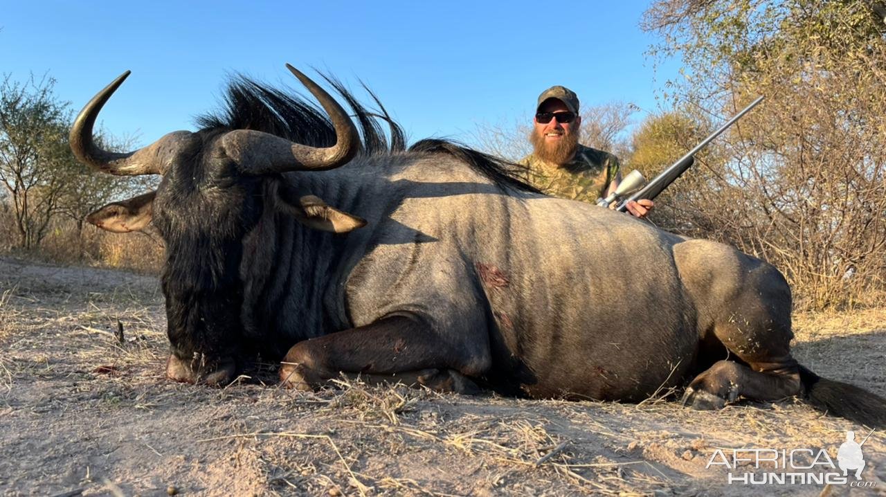 Blue Wildebeest Hunting South Africa