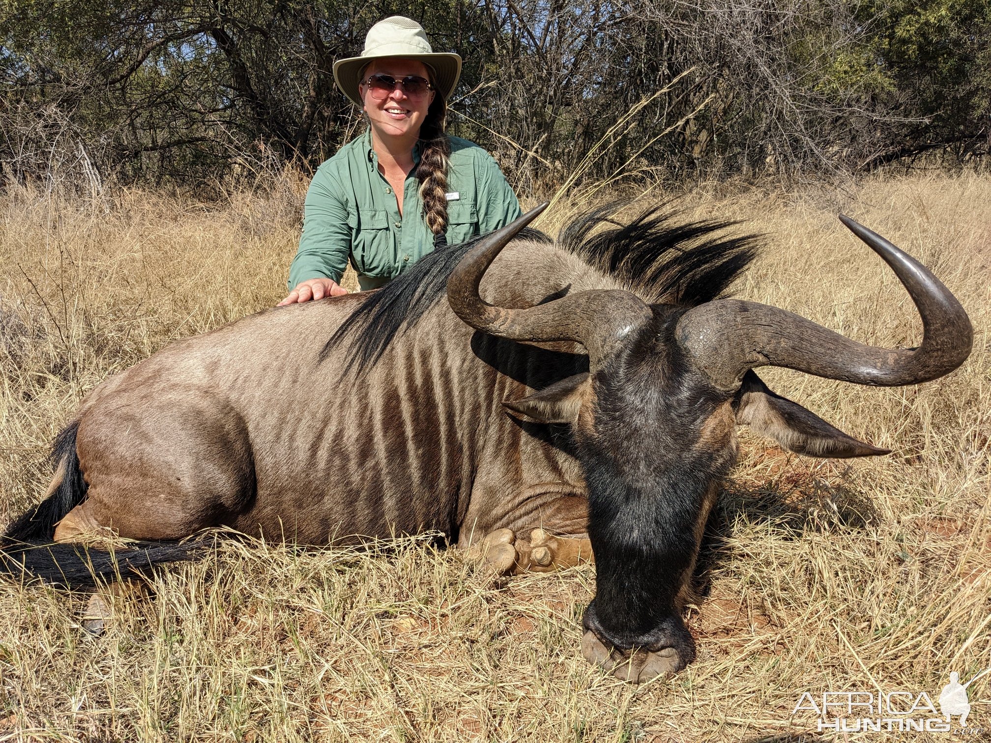 Blue Wildebeest Hunting South Africa