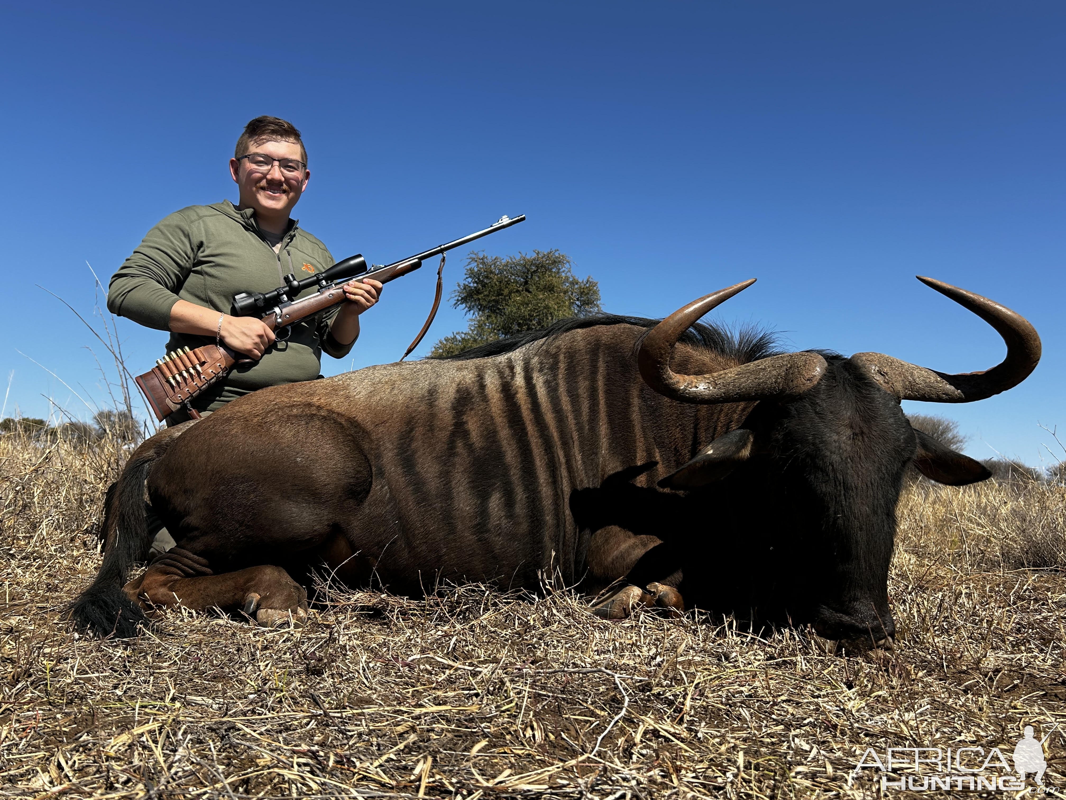 Blue Wildebeest Hunting South Africa