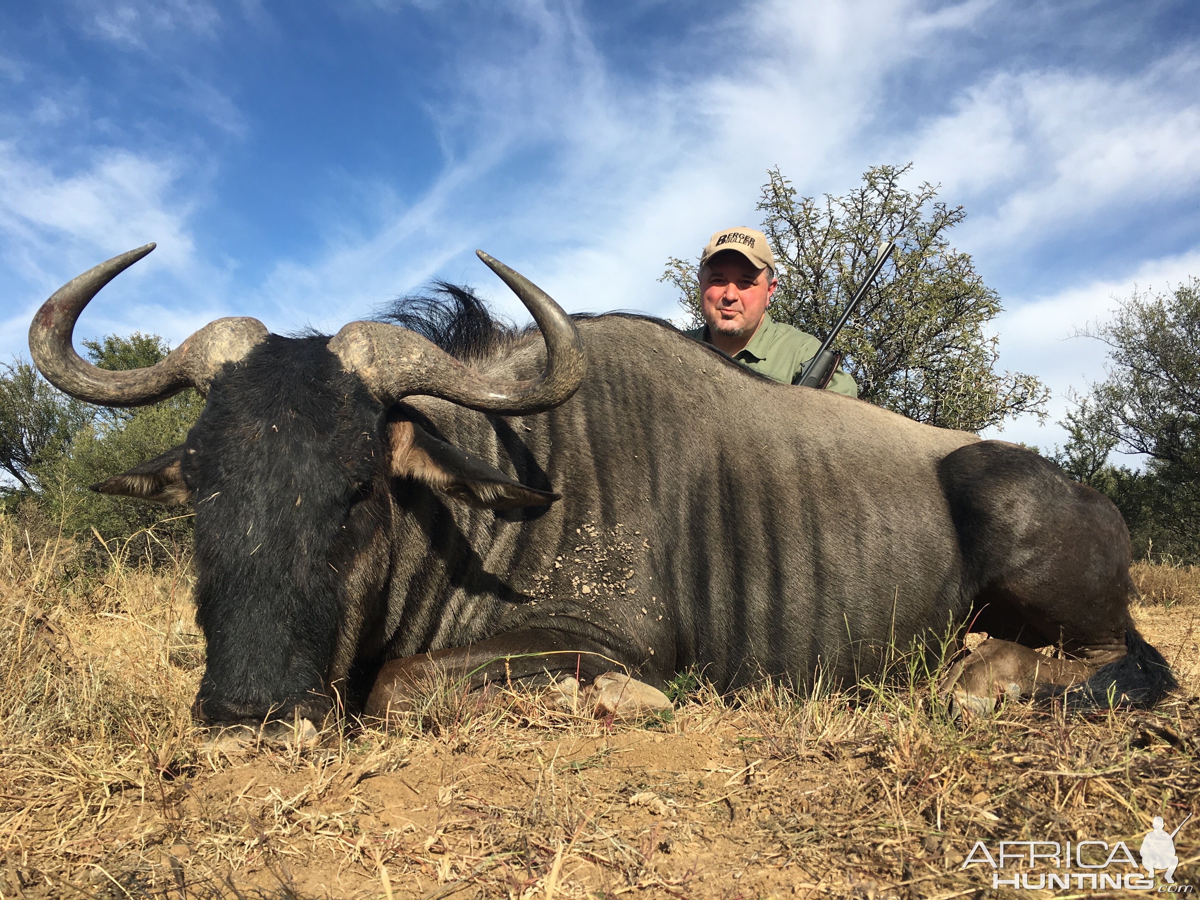 Blue Wildebeest Hunting South Africa