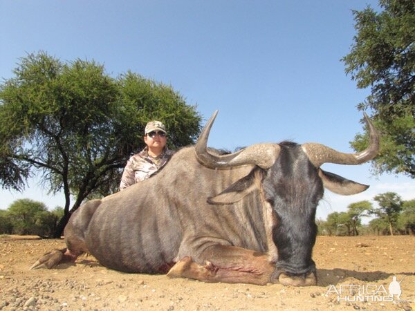 Blue Wildebeest Hunting South Africa