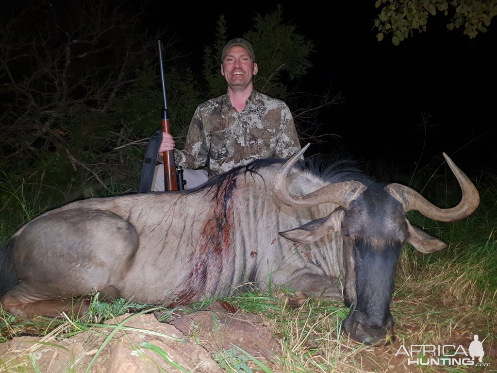 Blue Wildebeest Hunting South Africa